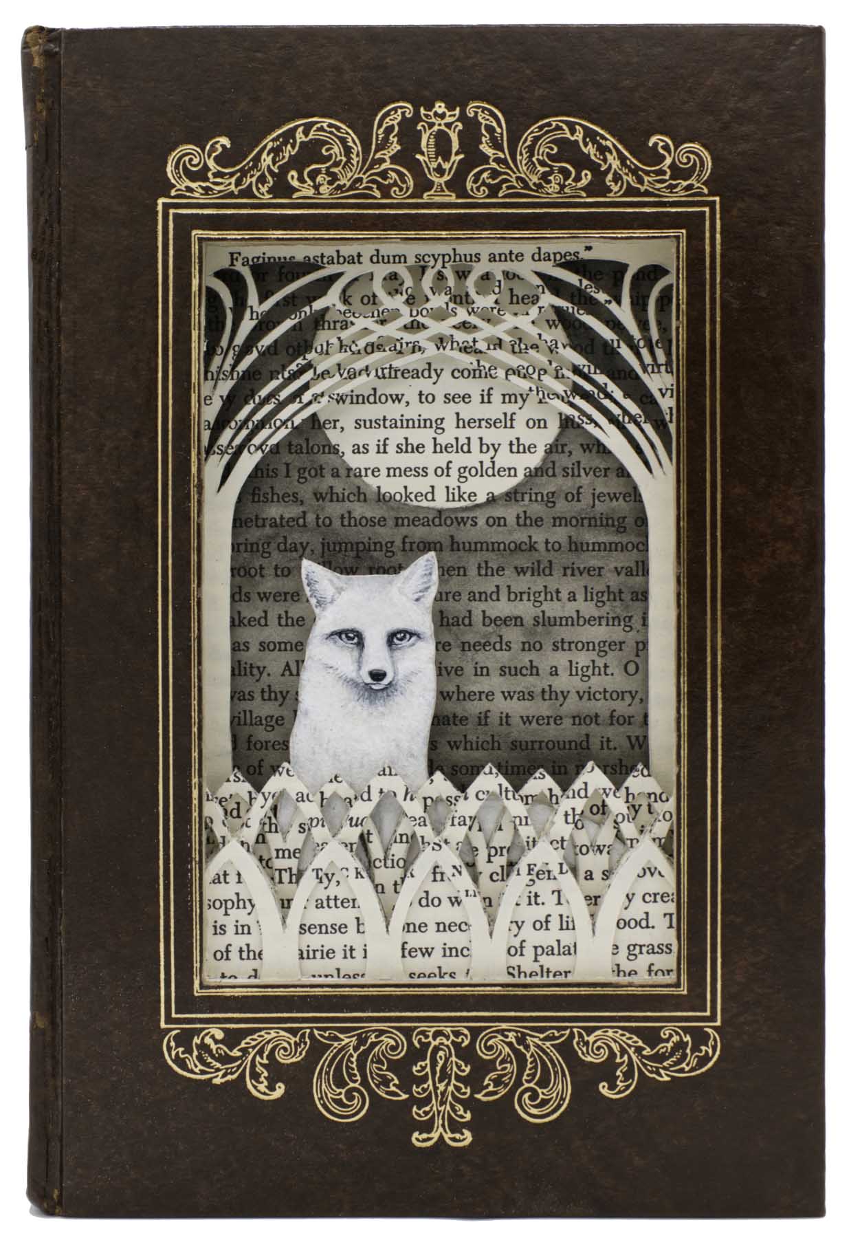 Guardian of the Full Moon