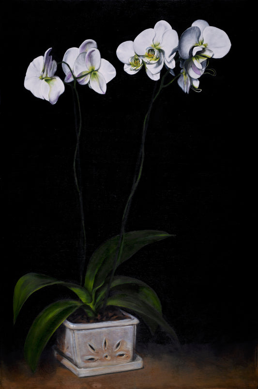 Dorothy and Linda's Flowers
