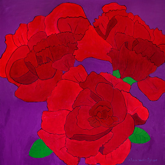 Carnations of Hope and Courage