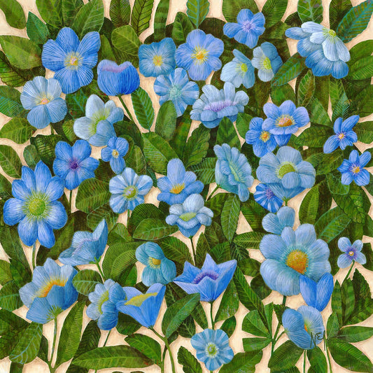 Ami Blue