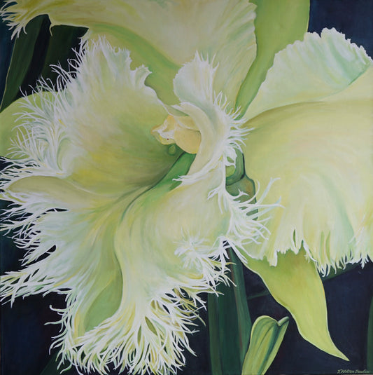 Nature Does Frills