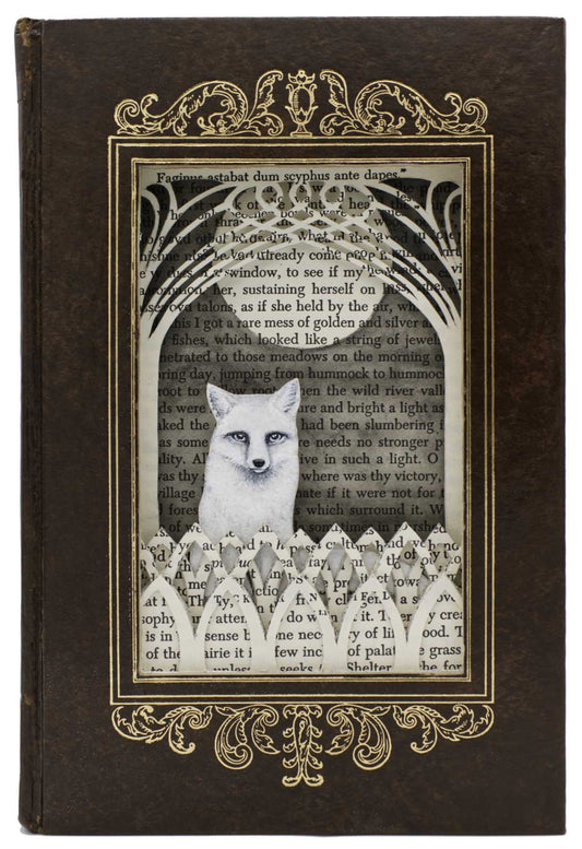 Guardian of the Full Moon